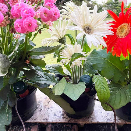 Blumat Backyard Irrigation Kit