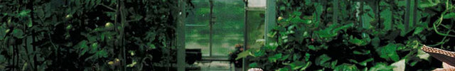 Blumat's in Use