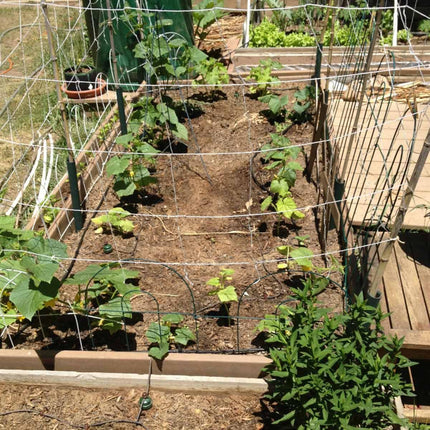 Blumat Pressure XL Box Kit - Automatic Watering Irrigation System for Up To 40 Plants-5