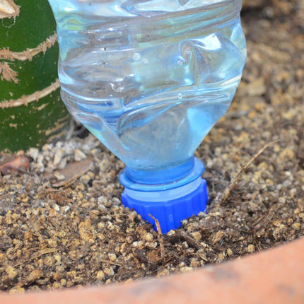 Blumat Bottle Cap Adapter-5