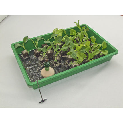 Surface Mounting Blumat-5