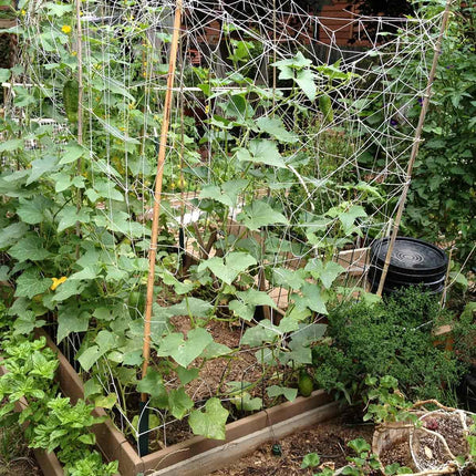 Blumat Gravity Garden Kit for 4' x 8' Raised Bed for 8 Large Plants-7