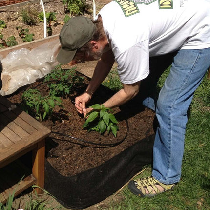 Blumat 5-Pack Starter Kit - Automatic Watering Irrigation System for up to 5 Plants