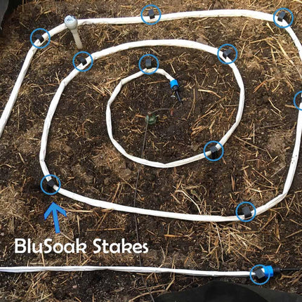 BluSoak Stakes, Mega-5
