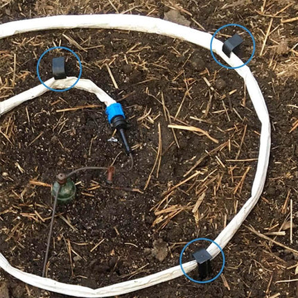 BluSoak Stakes, Mega-6