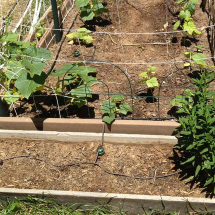 Blumat 5 Gallon Pot Kit - Deluxe-6