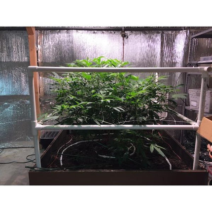 PVC 3/4" SCROG Trellis Kit - Double Cube-2