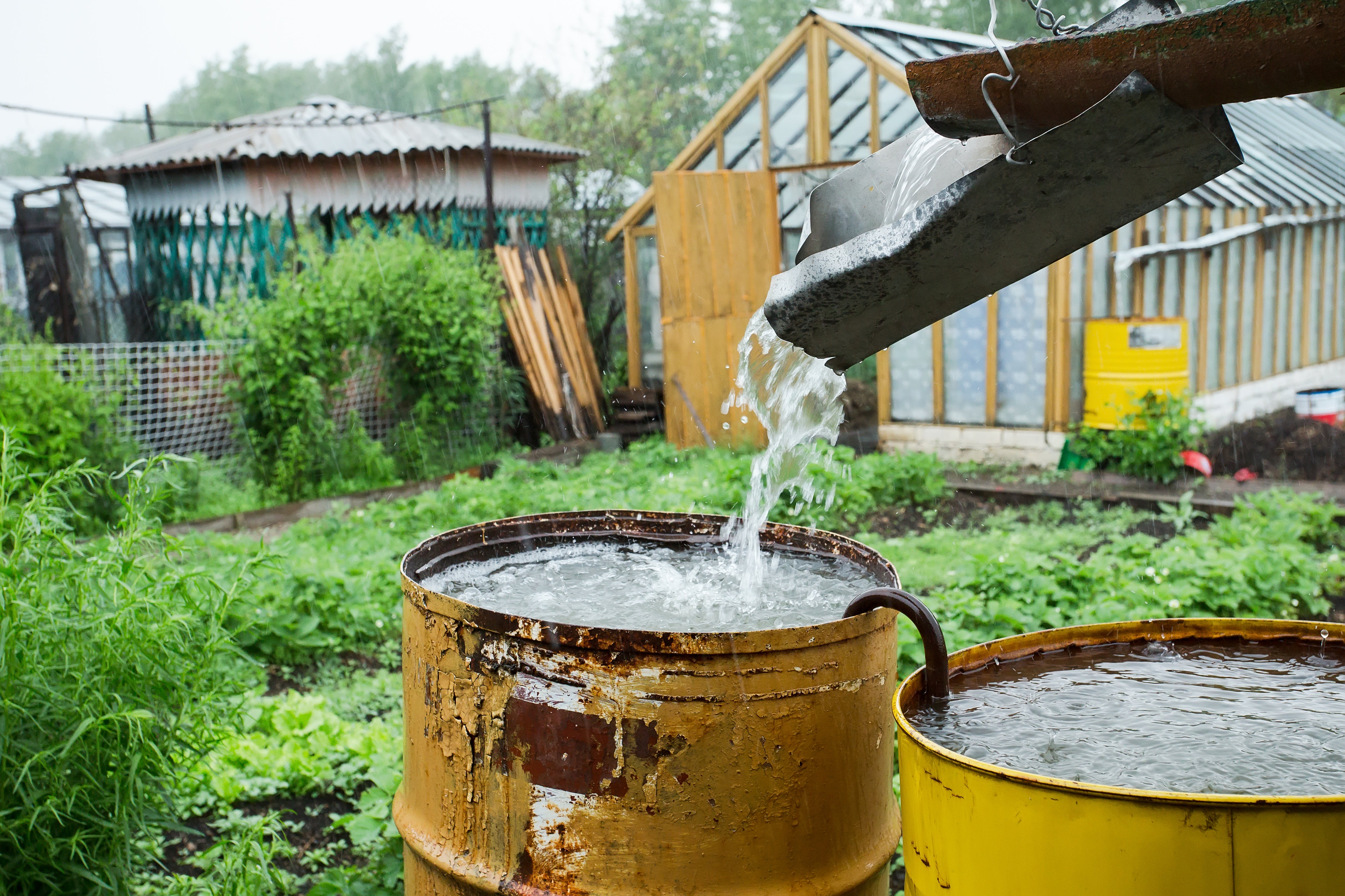 Rainwater Irrigation