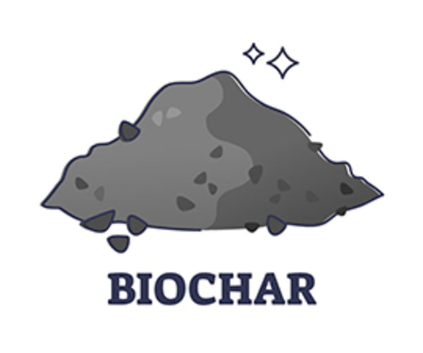 Biochar for Houseplants – Sustainable Village