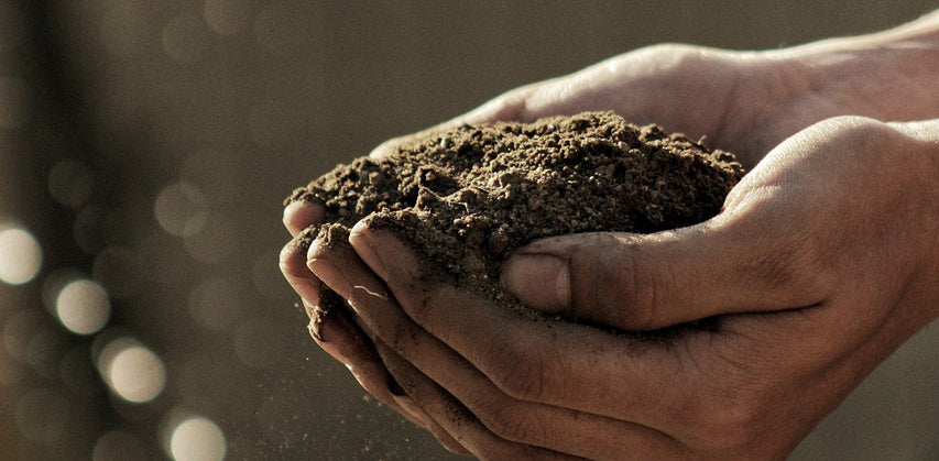 What is Living Soil?