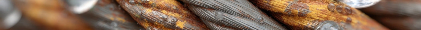 Water droplets beading on a strand