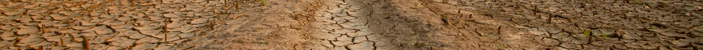 Desert Irrigation