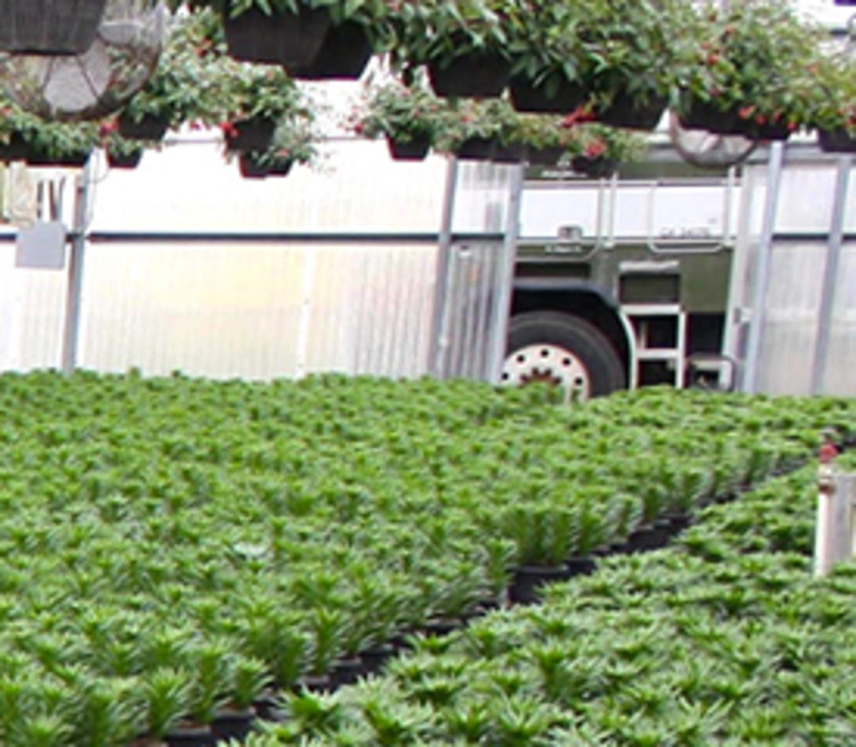 12 Ways to Reduce Grow Costs