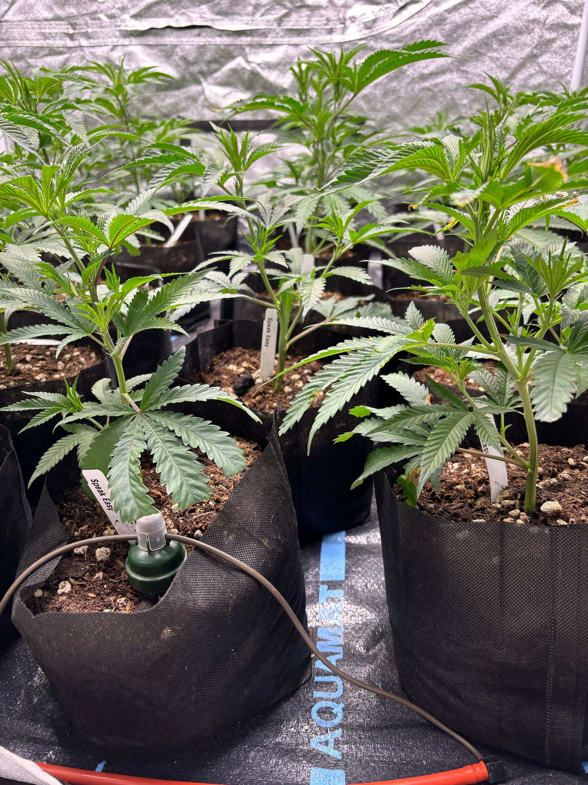 4'x4' Grow Tent Capillary Mat Kit (With Reservoir)