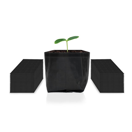 Biodegradable Nursery Bags (Gallon)