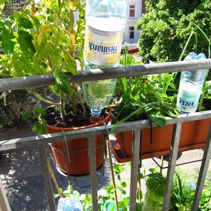 Blumat Bottle Adapter Plant Watering Stakes - 3 Pack