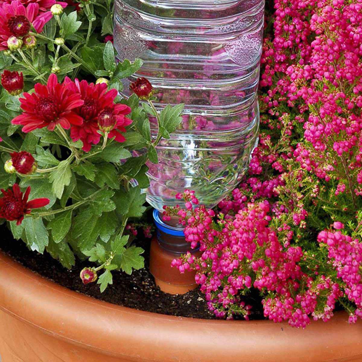 Blumat XL Bottle Adapter Self Watering Spikes for Indoor Plants (2 Pack)