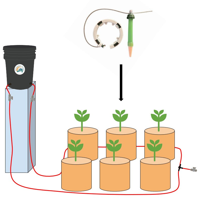 Preset Blumat Ready, Set, Grow Kits