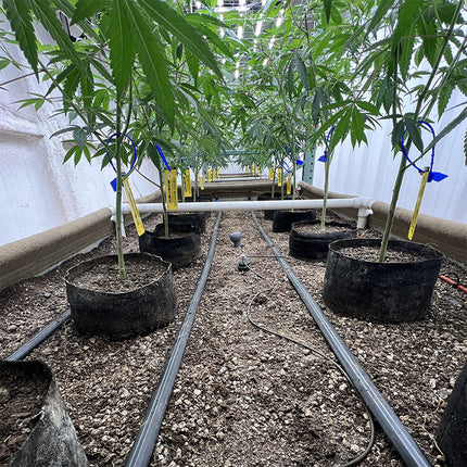 BluSoak 3.0 Drip Tape