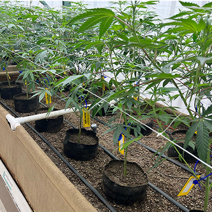 BluSoak 3.0 Drip Tape