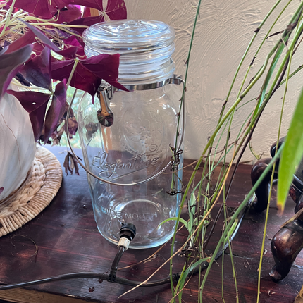 Houseplant-Saver Kit with 1 Gallon Container