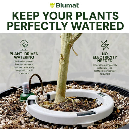 Preset Blumat Grow Tent Kit - One 30-90 Gallon Pot - no reservoir