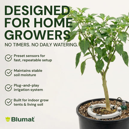 Preset Blumat Grow Tent Kit - One 30-90 Gallon Pot - no reservoir