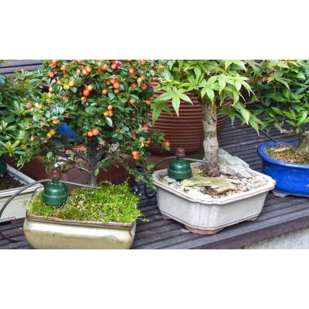 bonsai tree self watering pot Blumat Bonsai Automatic Plant Watering Sensor