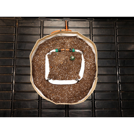 Blumat Pot Irrigation Kit: 5" Ring (2-7 Gallon) | Single 5" Standard