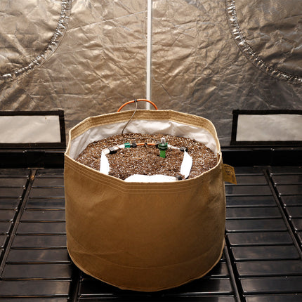 Blumat Pot Irrigation Kit: 5" Ring (2-7 Gallon) | Single 5" Standard