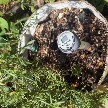 Capillary Living Soil Self-Watering Cap Pots