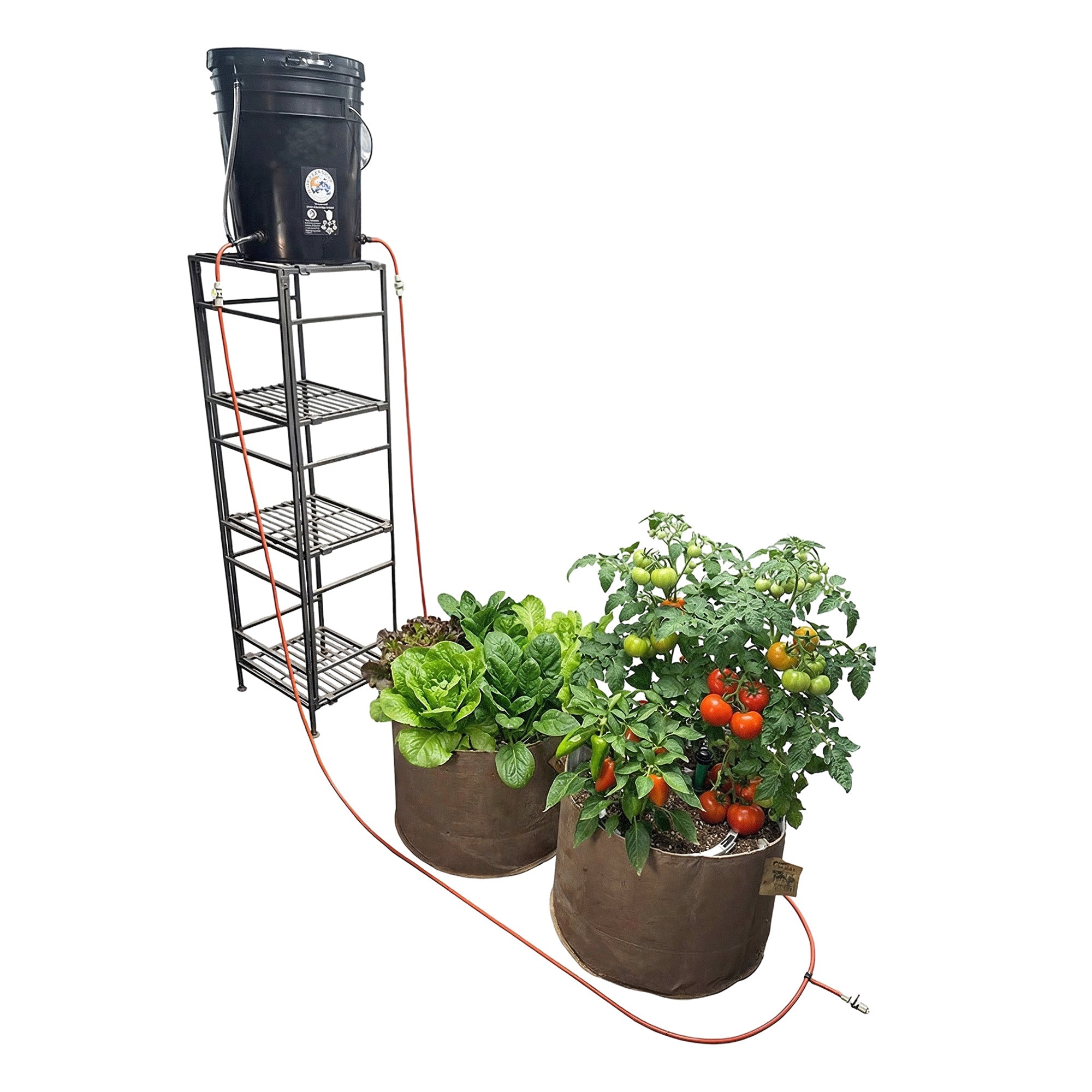 plant grow tent Preset Blumat Grow Tent Irrigation Kit — No Timers, No Power