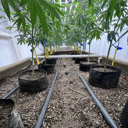 Blusoak 3.0 High Pressure Kits