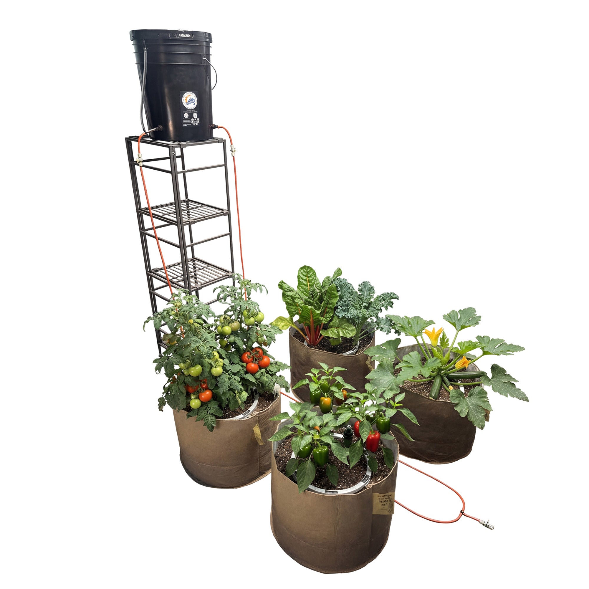 10 plant grow tent Preset Blumat Grow Tent Kit - Four 10-20 Gallon Pots