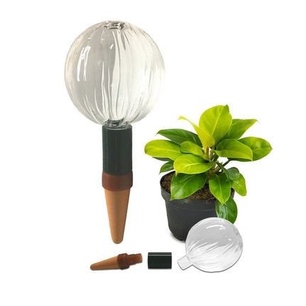 Blumat Glass Plant Self Watering Globes