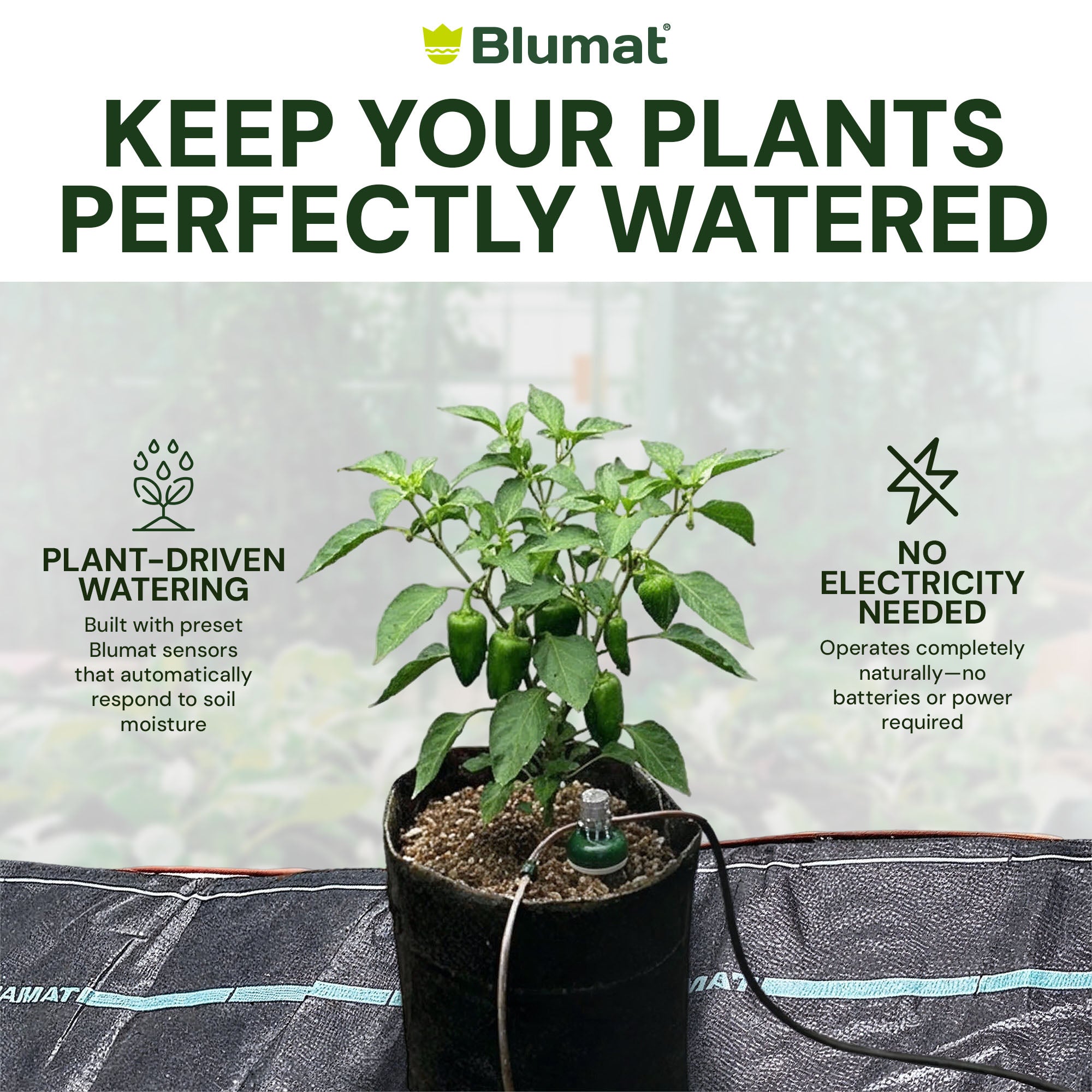 AquaMat Capillary Mat Systems