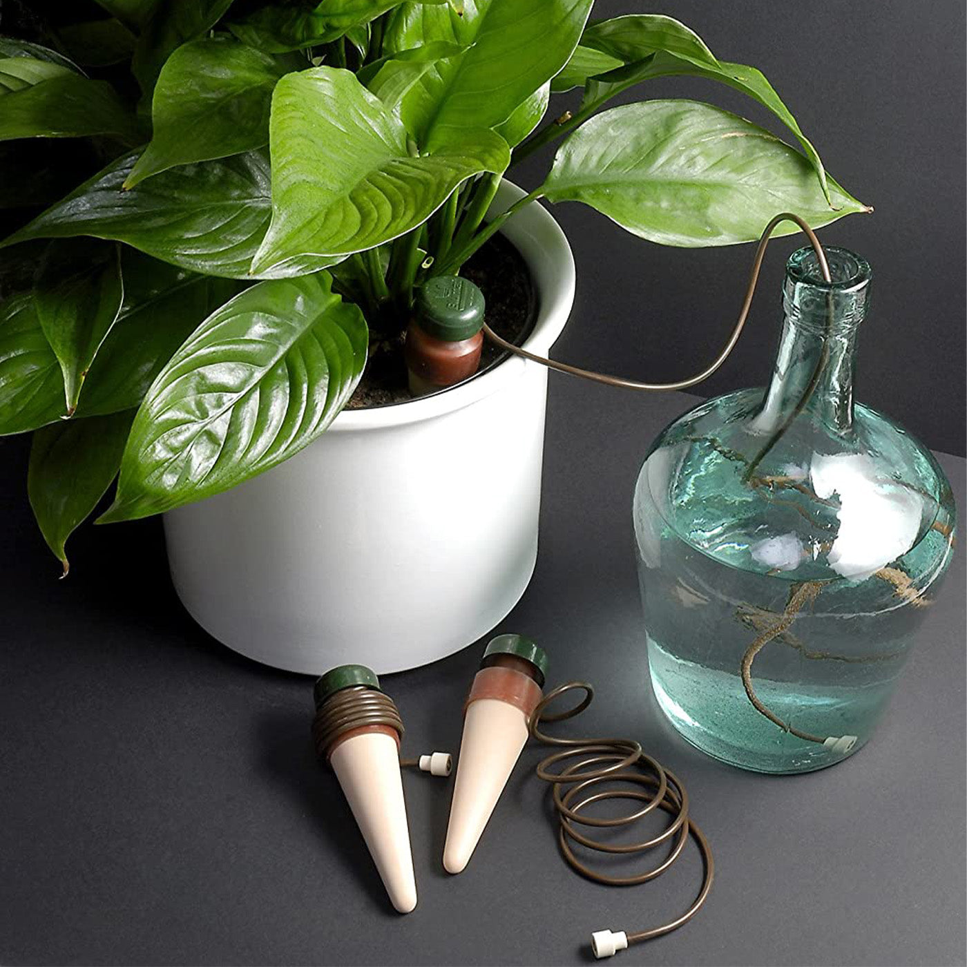 automatic plant watering stakes Blumat XL Classic Plant Watering Stakes — For Larger Plants & Pots