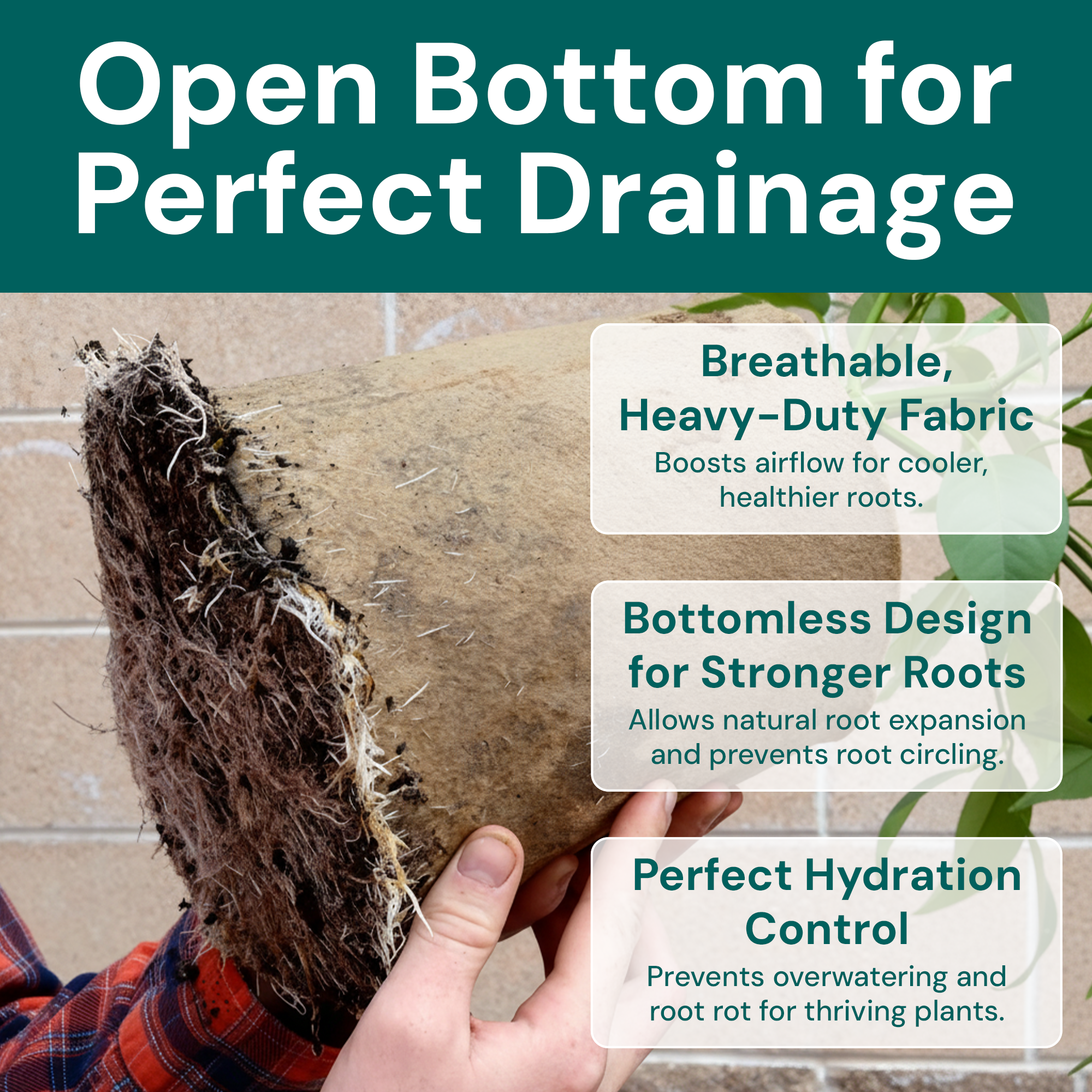 bottomless plant pot 1 Gallon Grassroots Bottomless Pots