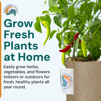 1 Gallon Grassroots Bottomless Pots