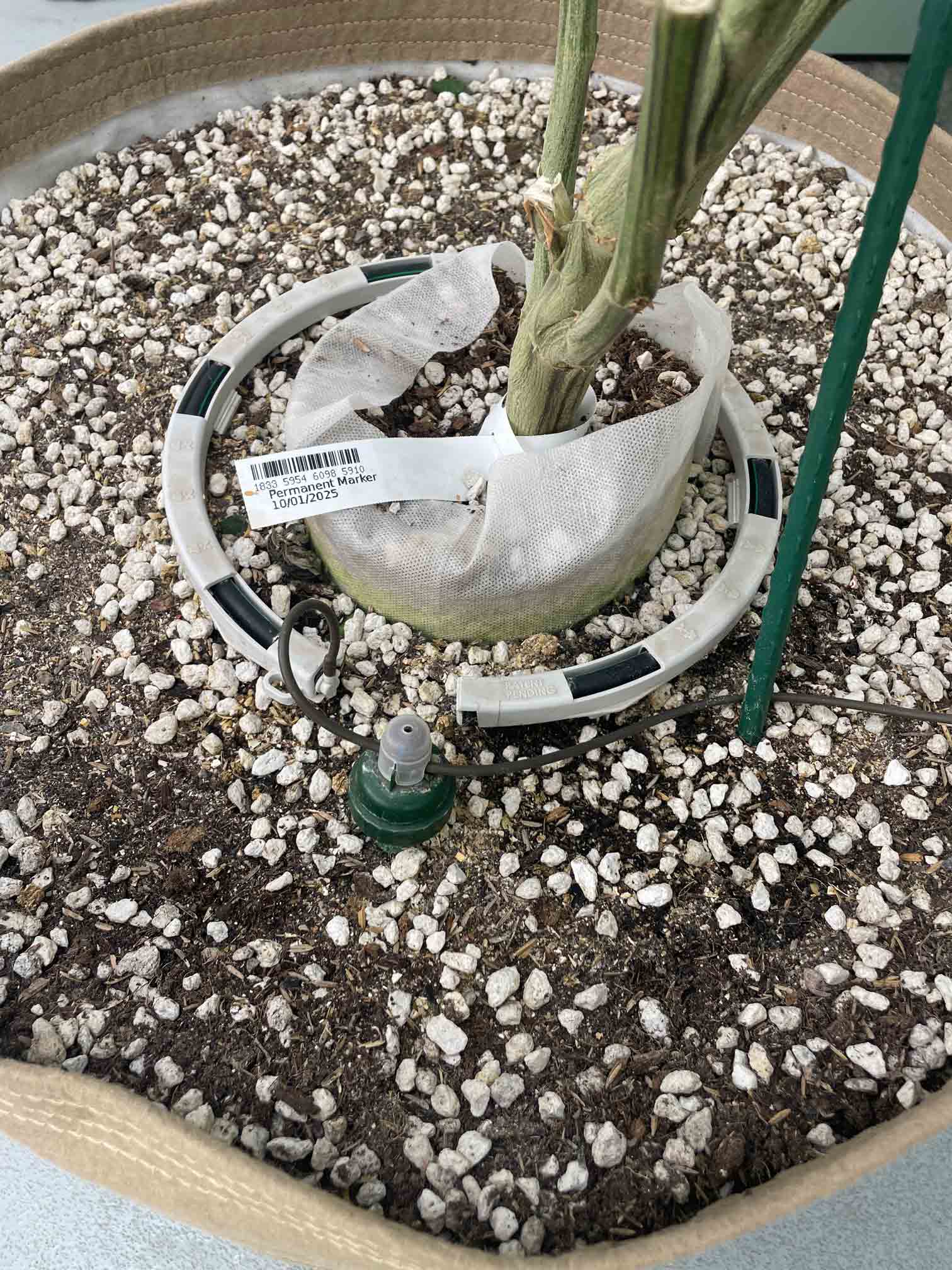 Canna-Pot-w-Ring.jpg__PID:dfbee9a5-43d3-40ce-82a0-a95ff974a26b