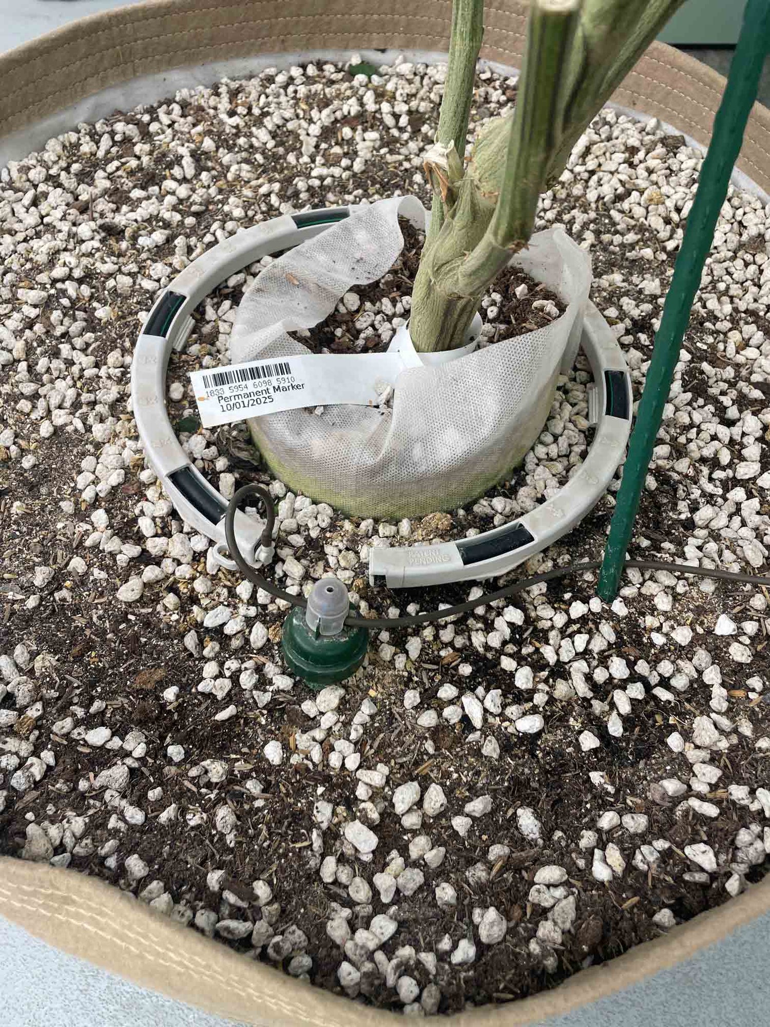 Canna-Pot-w-Ring.jpg__PID:dfbee9a5-43d3-40ce-82a0-a95ff974a26b