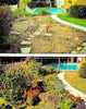 convert lawns to native plants using subsurface irrigation