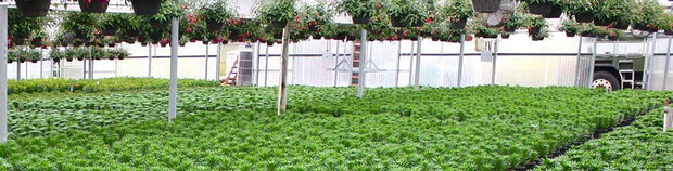 aquamat greenhouse