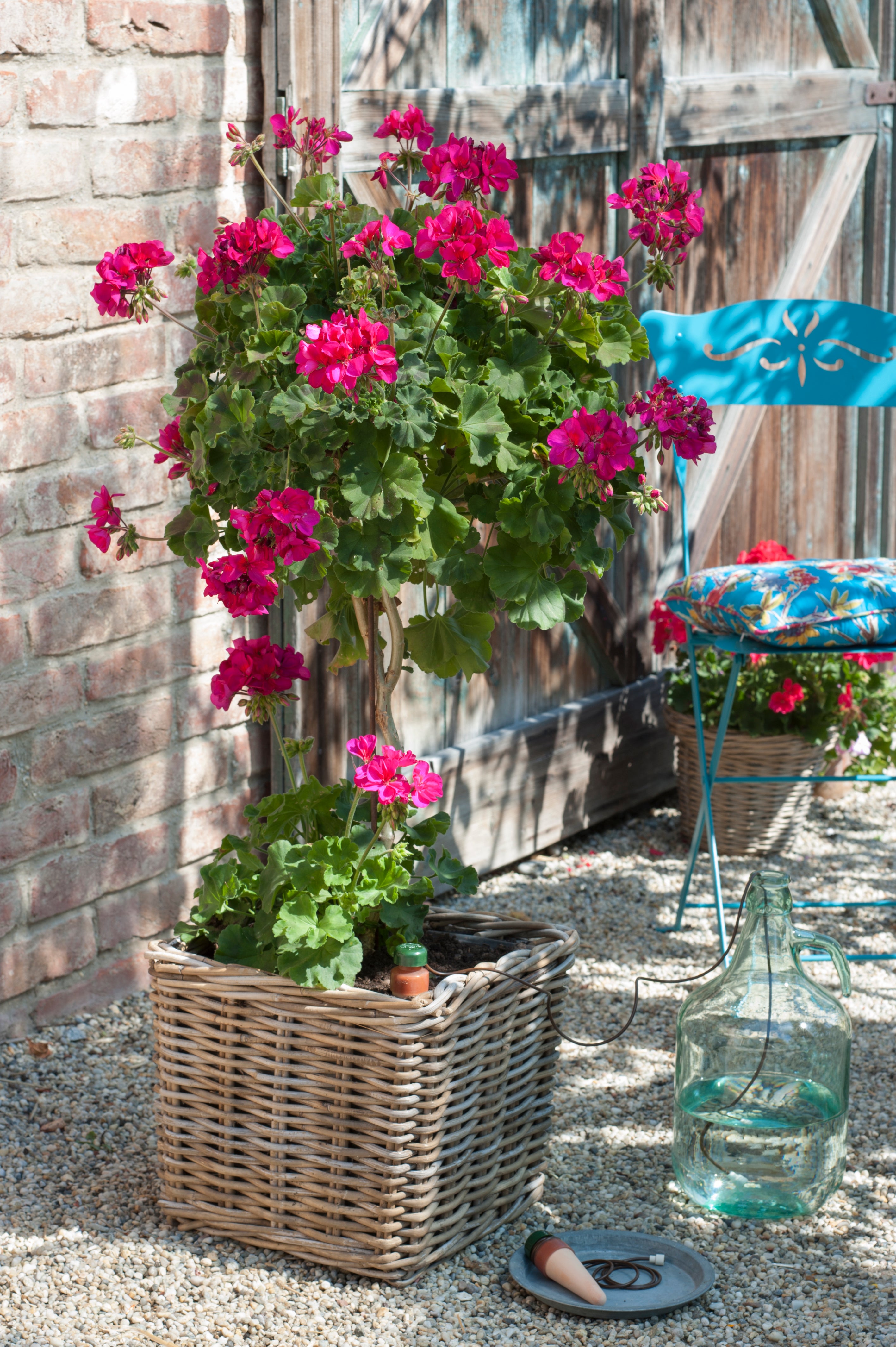 Blumat XL Classic Plant Watering Stakes