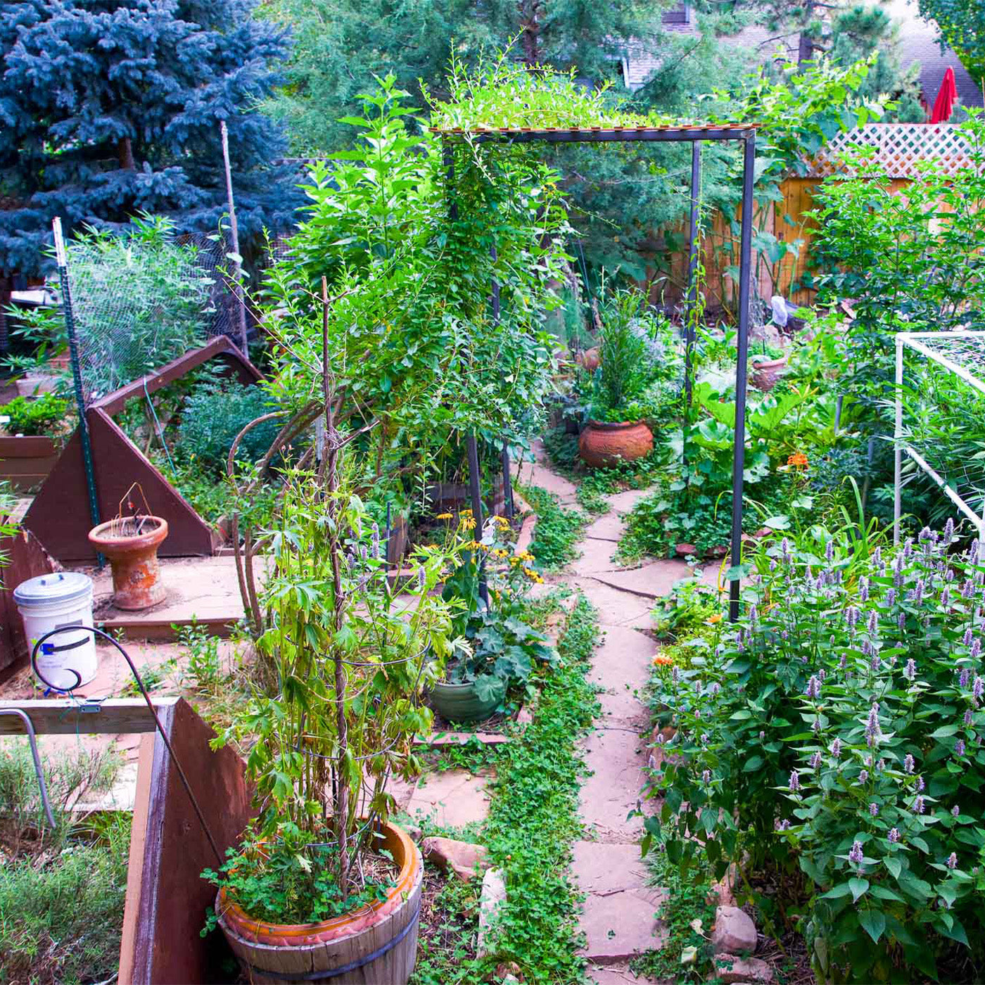 Garden BluSoak Kit, 100'