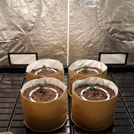 Preset Blumat Grow Tent Kit - Four 10-20 Gallon Pots - with reservoir