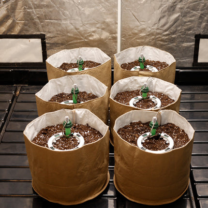 Preset Blumat Grow Tent Kit - Six 5-7 Gallon Pots - with reservoir