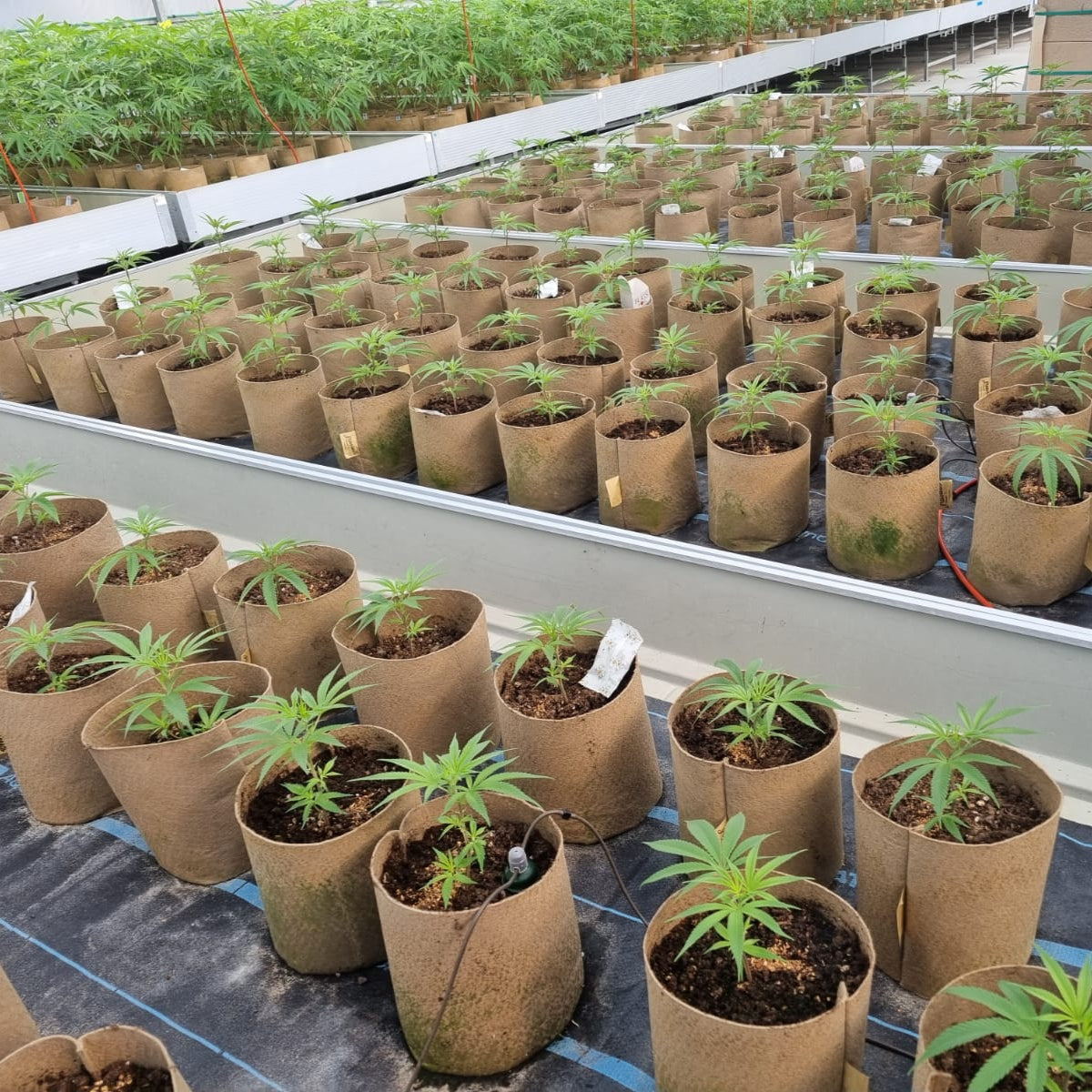 4'x4' Grow Tent Capillary Mat Kit (With Reservoir)