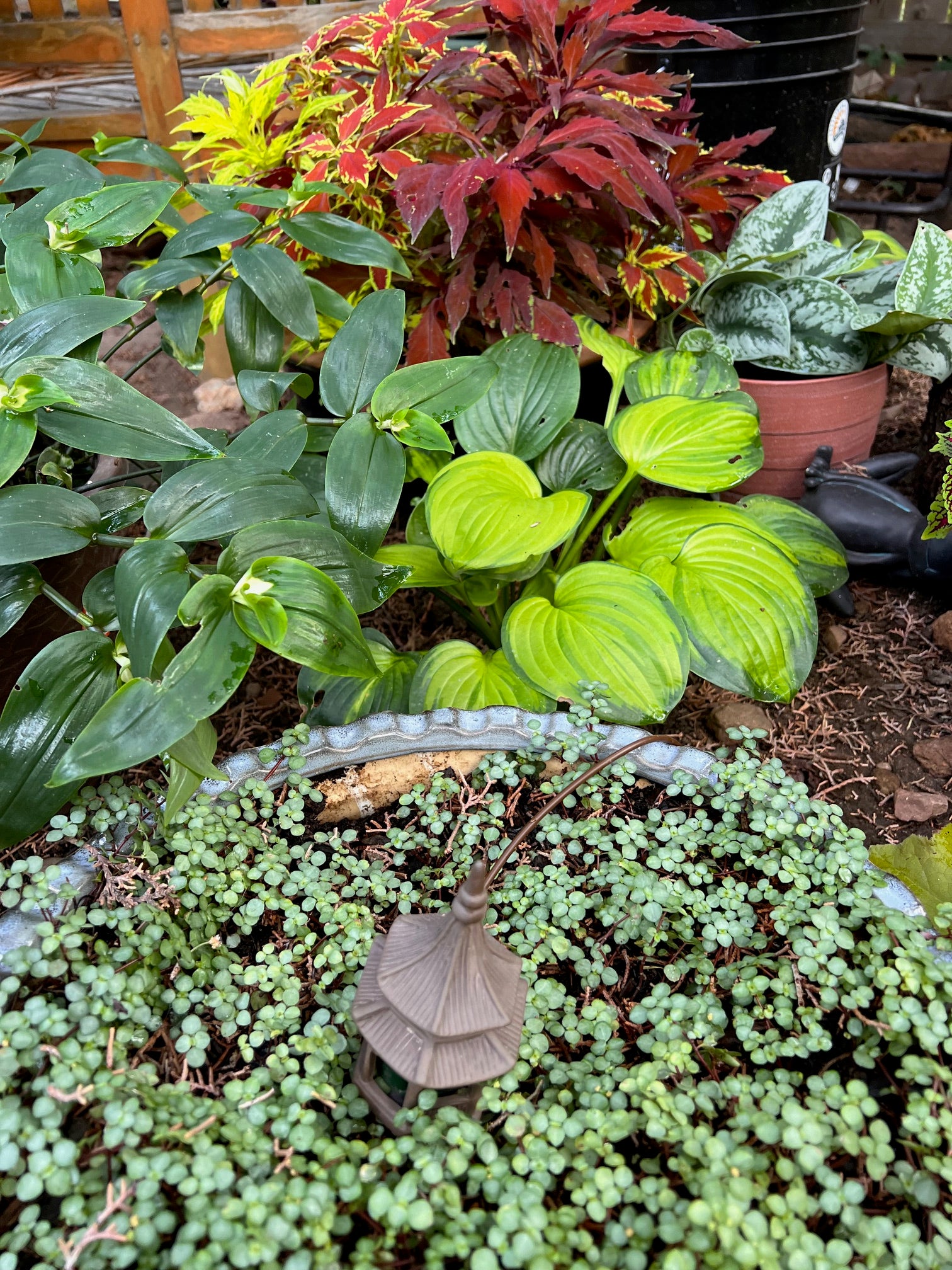 Pagoda Blumat Classic