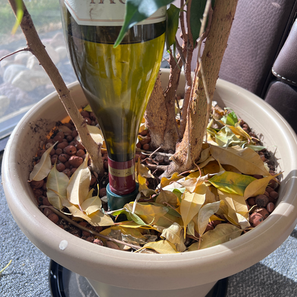 Blumat Easy + Bottle Adapter